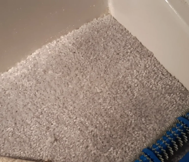 expert pet damage carpet repaired in Maidstone